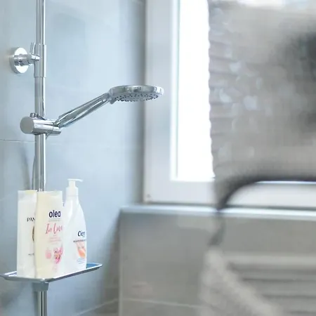 Dominicus Apartamento *