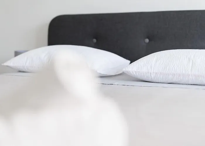 Διαμέρισμα Dominicus Ζαντάρ